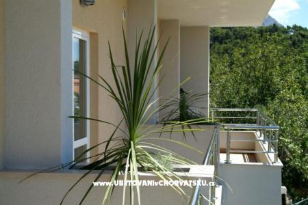 Apartments Antonio photo 3