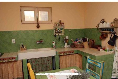 Vacation house Buselic photo 4