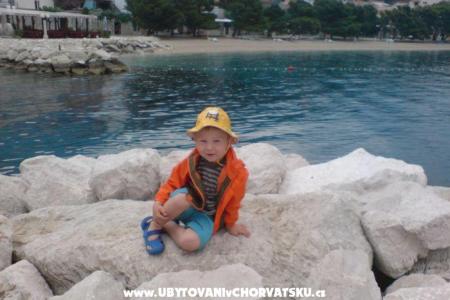 Vila Hermina photo 4