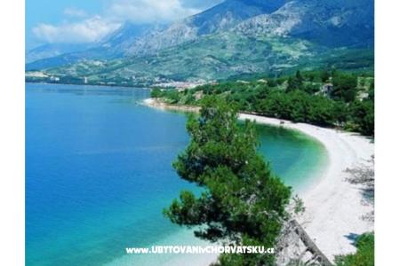 Villa Grgo photo 4