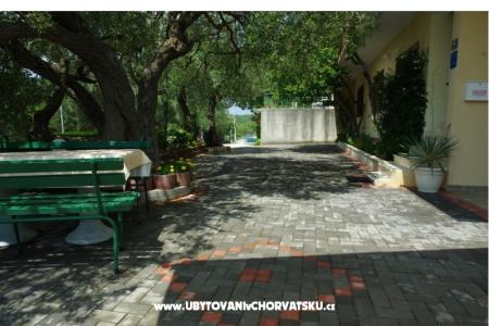 Villa Jedini photo 4