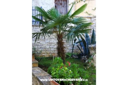 Casa Oleander  photo 3