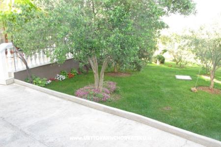House Toma photo 3