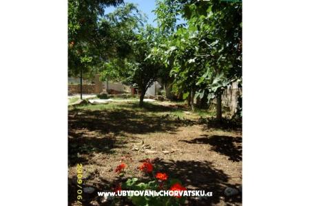 Vacation house Villa Jadran photo 5
