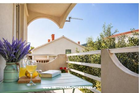 The Secret Garden photo 5