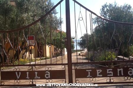 Villa Tesna photo 2