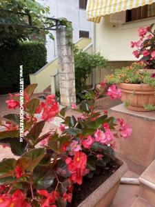 Apartments Maris  photo 2