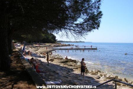 Apartments San Pelegrin Umag Croatia
