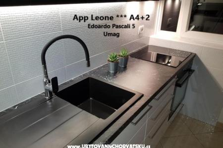 App Leone photo 3
