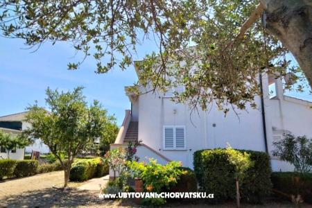 Apartments Budija / Viola photo 2