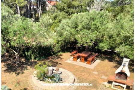 Apartments Budija / Viola photo 3