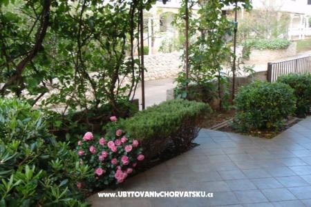 Apartments Cestar photo 5