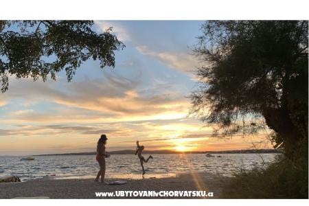 Apartments Dervić  Island of Vir Croatia