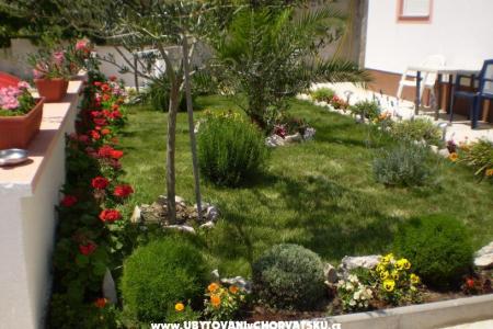 Apartments Kantoci photo 2