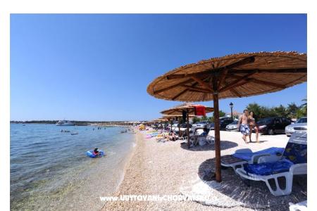 Apartments Lavanda Centar Island of Vir Croatia
