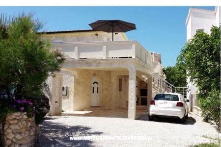 Apartments Leo photo 2