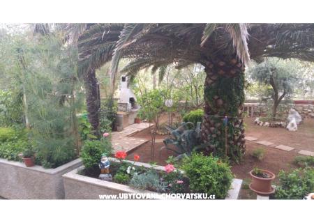 Apartments Milka Vir photo 3