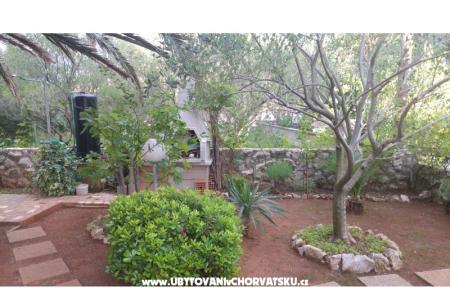 Apartments Milka Vir photo 5