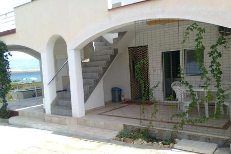 Apartments Nedić Island of Vir Croatia