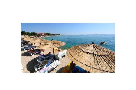 apar photo 5