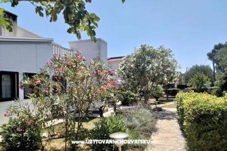 Apartments Budija / Lavanda photo 2