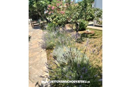 Apartments Budija / Lavanda photo 4
