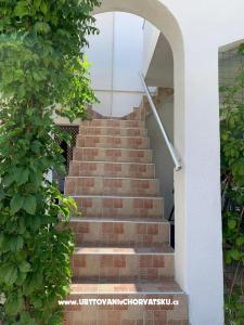Ivo Nedić Apartments Island of Vir Croatia