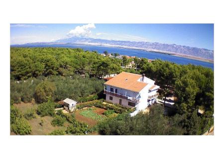 Apartments Liveric Island of Vir Croatia