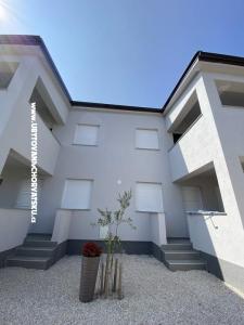 OLIVE RESIDENCE photo 4