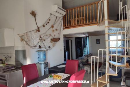 Studio apartman "Zara" Island of Vir Croatia