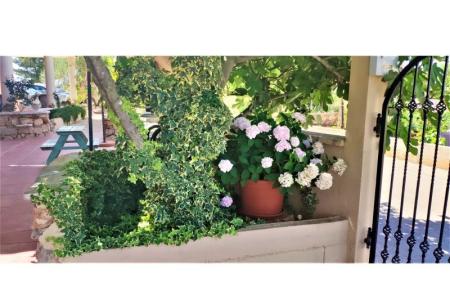 Apartments Dea&amp;Paula photo 2