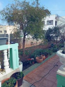 Apartments Marijana Alaga photo 5