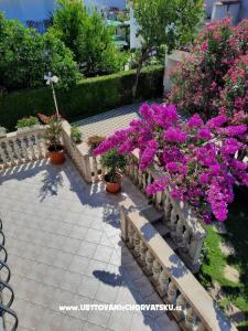 Apartments Trubarac photo 4
