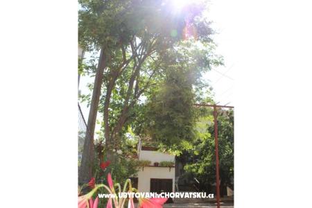 Apartments Vitali photo 5