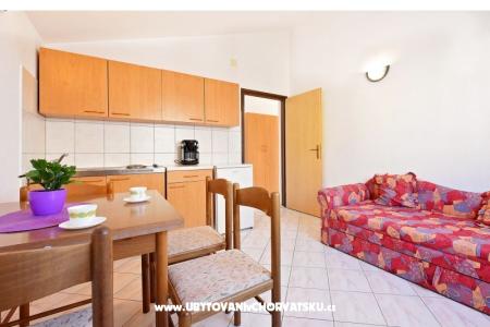 Apartments Anton photo 5