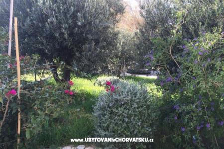 Apartments Villa Tribunj photo 3