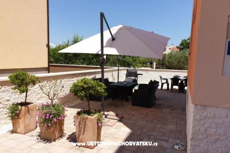 Color Apartments photo 2