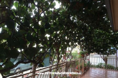 Kiwi House photo 5