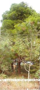 Mjesto Pod Suncem photo 3