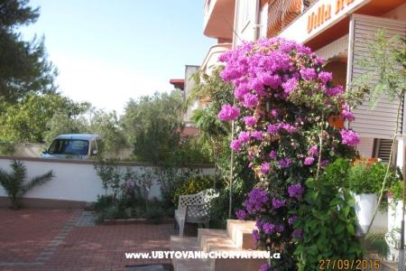 Villa Aurelia photo 2
