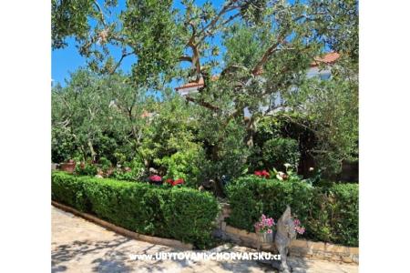 Villa Neda photo 2