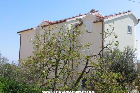 Apartments Blata photo 2