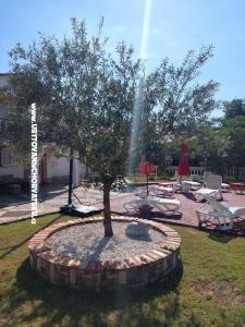 Apartments Chipo photo 3