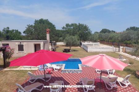 Apartments Chipo photo 5