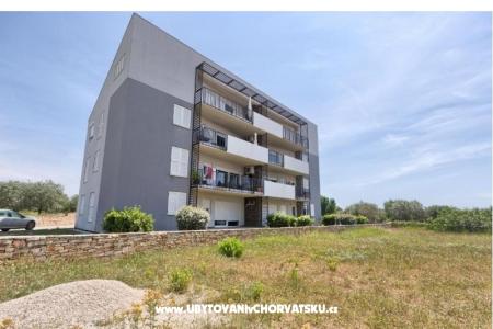 Casadigioia Apartments photo 2