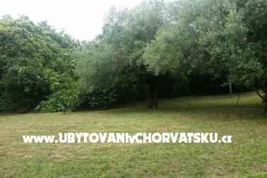 Apartments Rakovac Vrsar photo 4