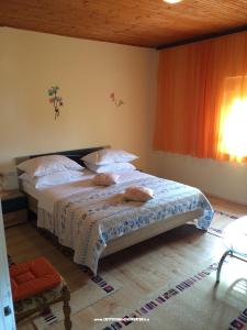 Zadar-Brisevo  photo 3