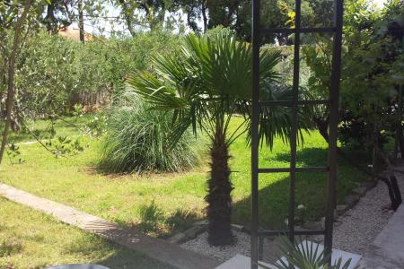 Apartment Korina photo 2