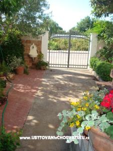 Apartments Andredor photo 2