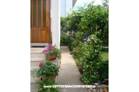 Apartments Andredor photo 5